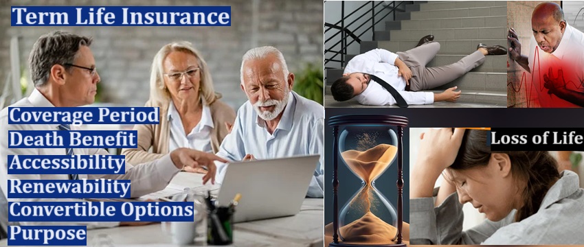 Term Life Insurance